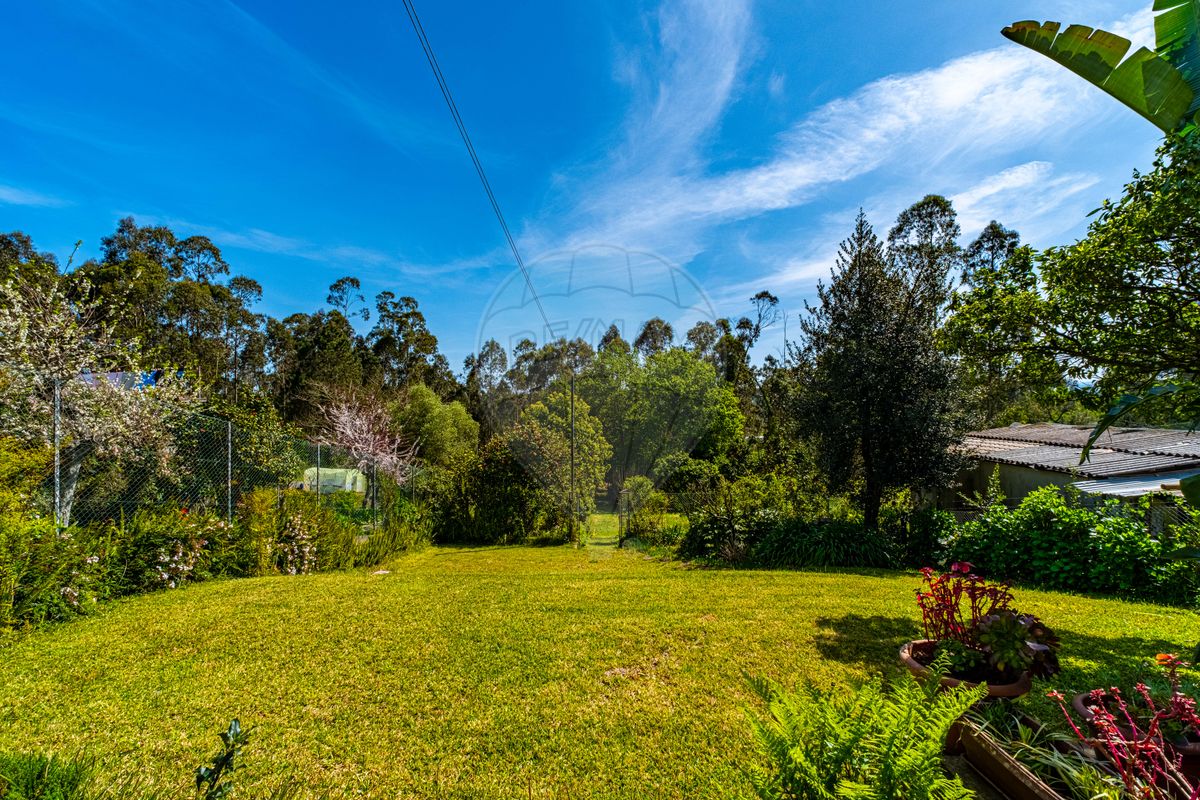 listing 126991009-13 picture-0
