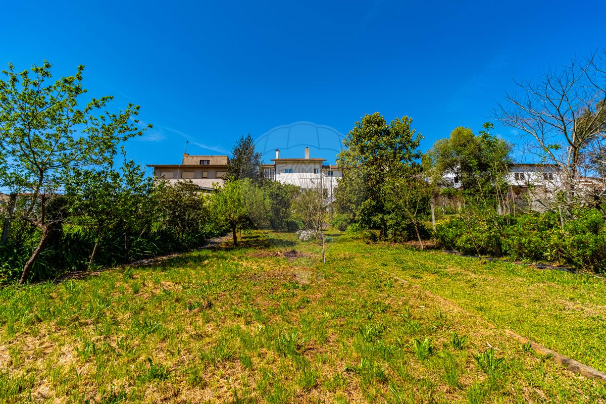 listing 126991009-13 picture-0