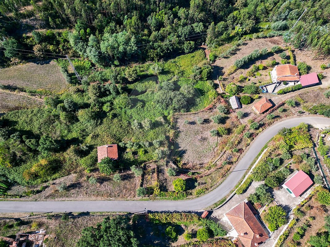 Terreno  para venda