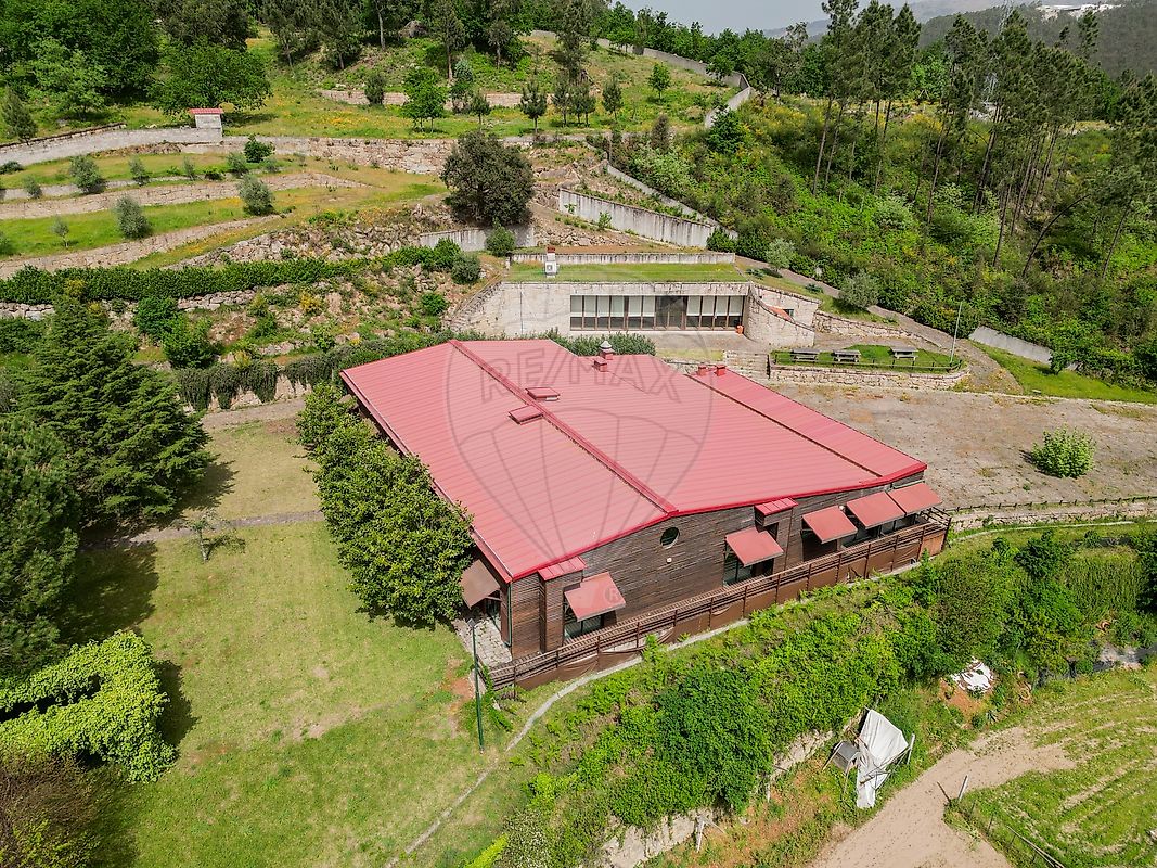 Quinta - Rio de Moinhos, Penafiel, Porto