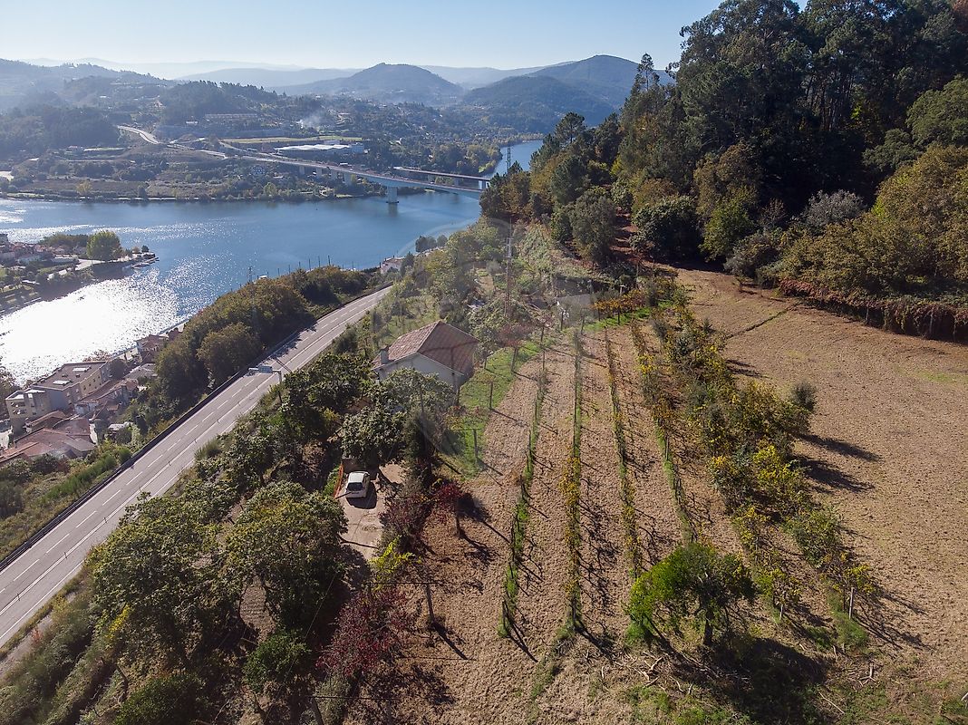 Quinta - Eja, Penafiel, Porto