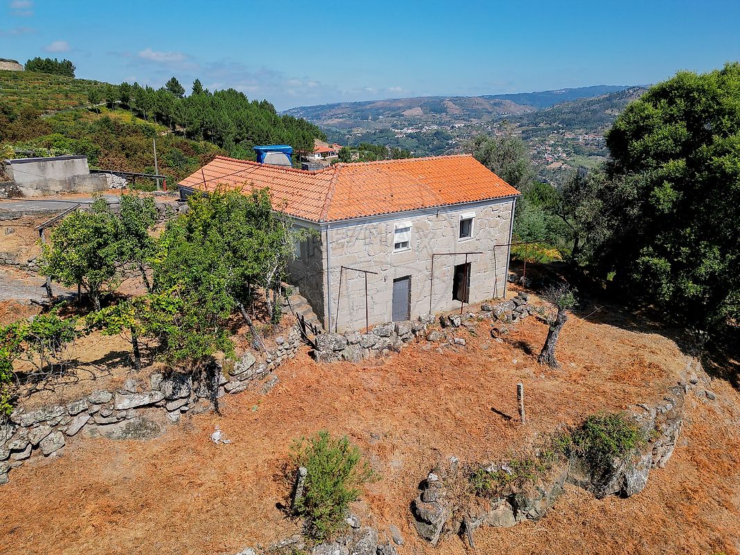 Quinta - Oliveira, Cinfães, Viseu