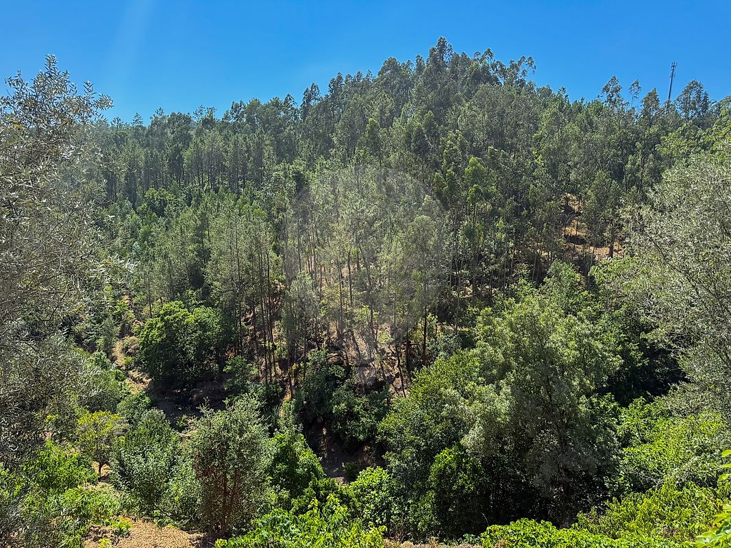 Moradia T1 à venda em Termas de São Vicente, Penafiel — foto 21