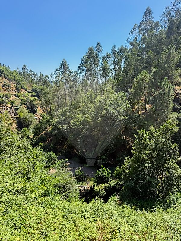 Moradia T1 à venda em Termas de São Vicente, Penafiel — foto 24