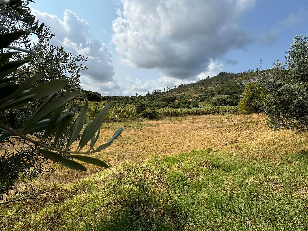 Land for sale in Cadaval, Portugal — €70,000