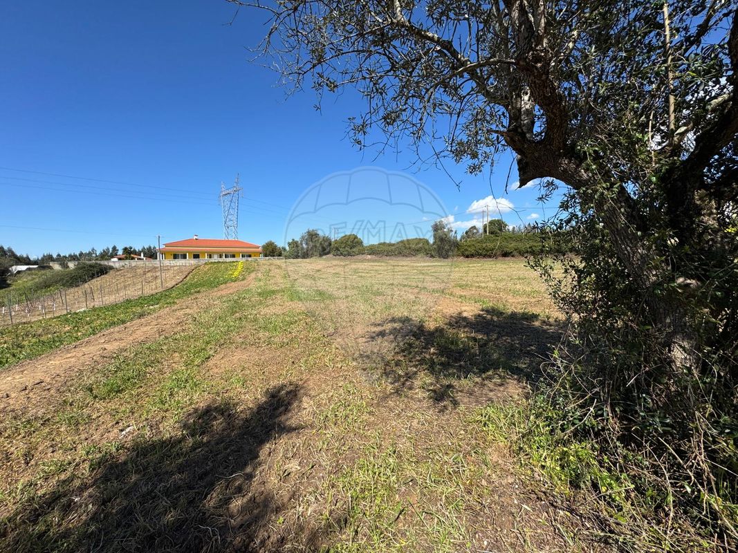 listing-picture-0
