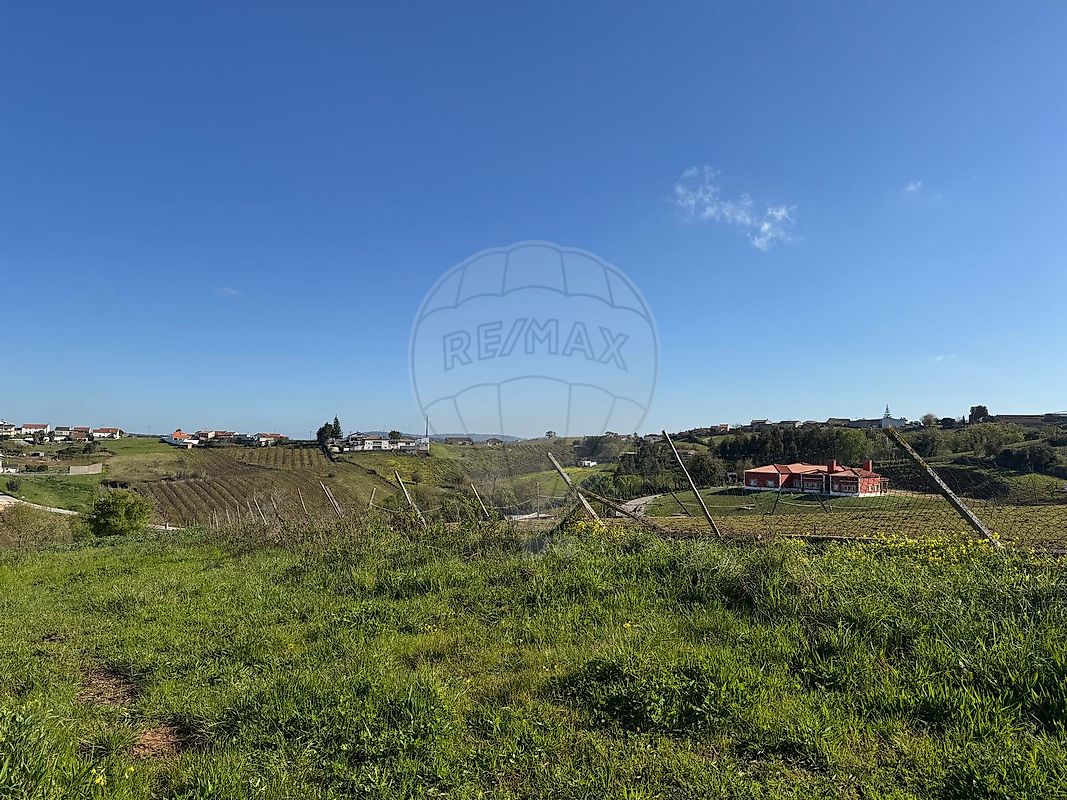 listing-picture-0
