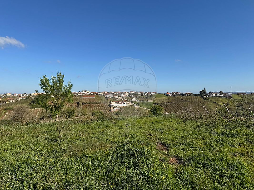 listing-picture-0