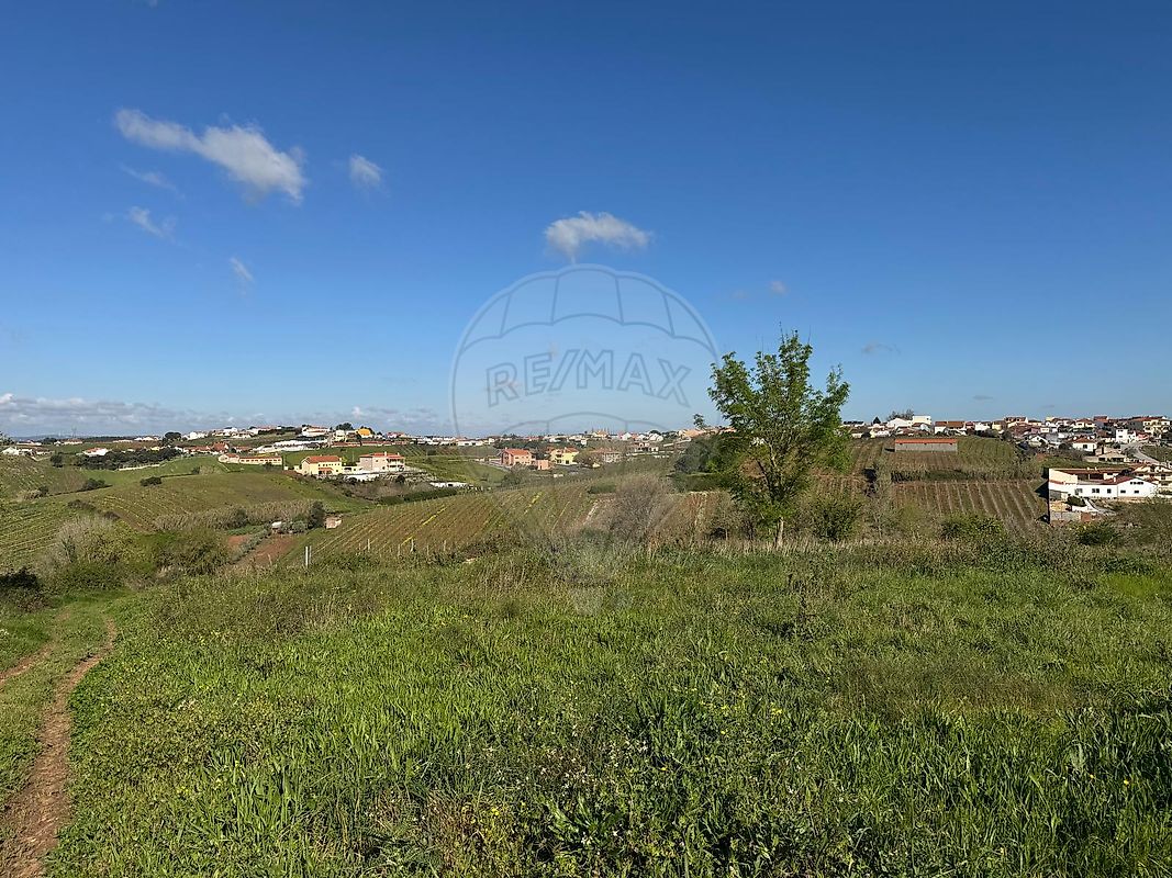 listing-picture-0
