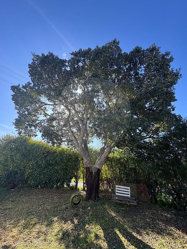 listing 127001009-5 picture-0