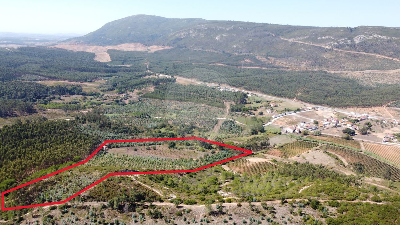 Terreno  para venda