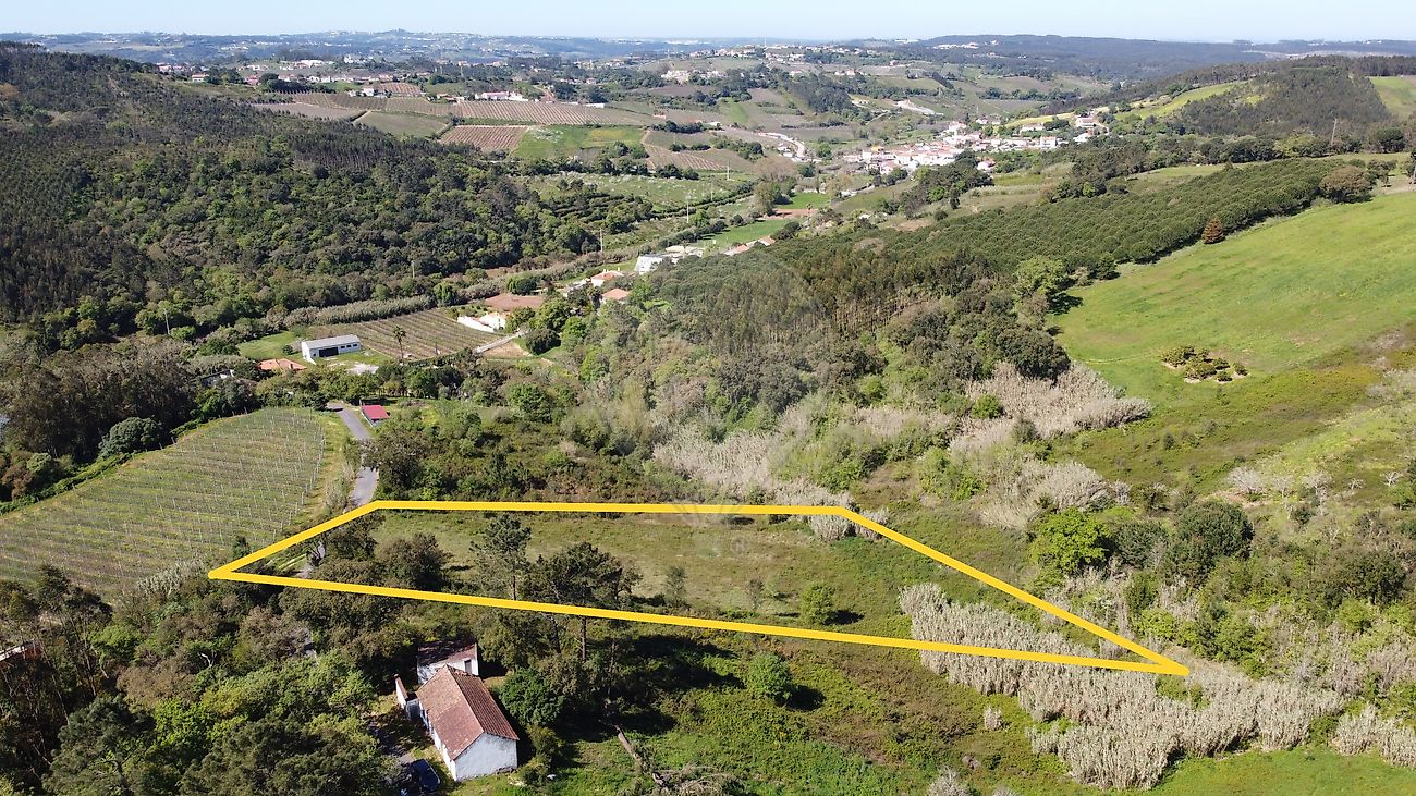 Terreno - Vidais, Caldas da Rainha, Leiria