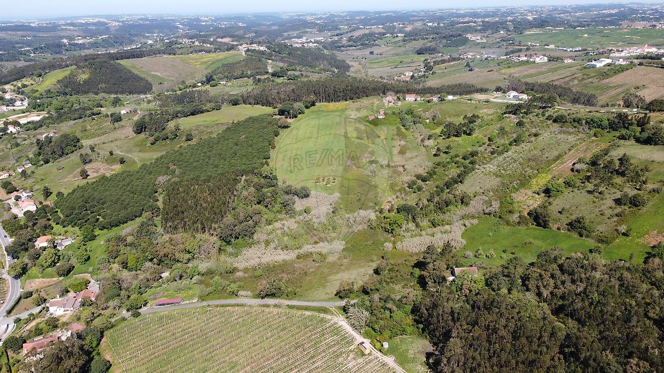 Terreno - Vidais, Caldas da Rainha, Leiria