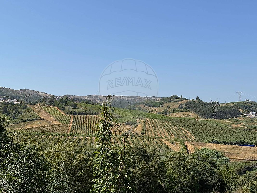 Moradia T6+ à venda em Vilar, Cadaval — foto 32