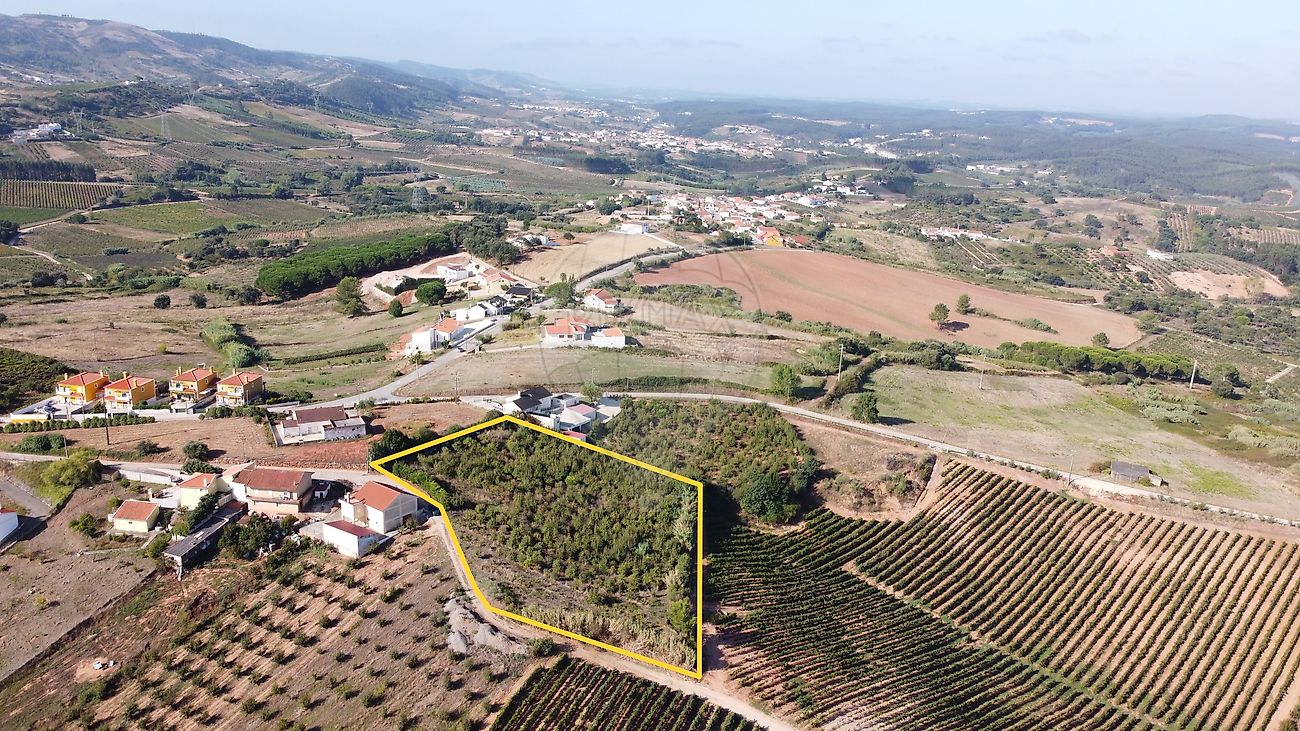Terreno - Vilar, Cadaval, Lisboa