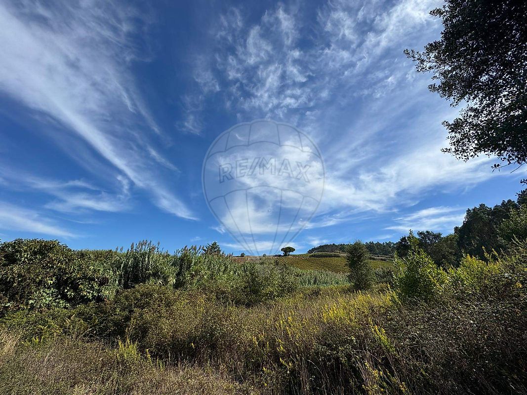 Moradia T1 à venda em Maxial e Monte Redondo, Torres Vedras — foto 17
