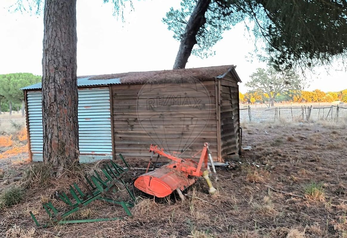 listing-picture-0