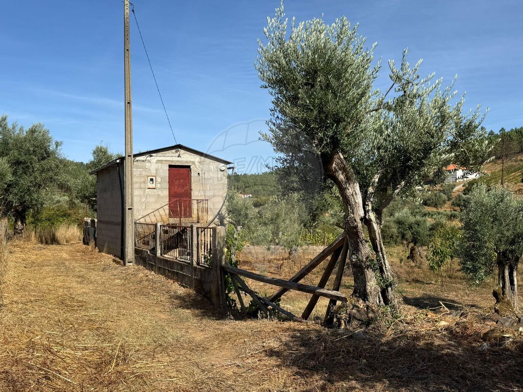 Terreno  para venda