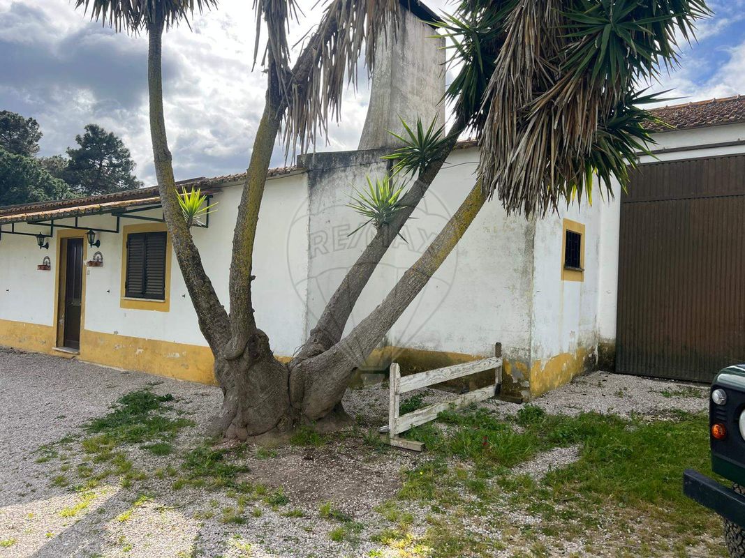Quinta T2 para venda