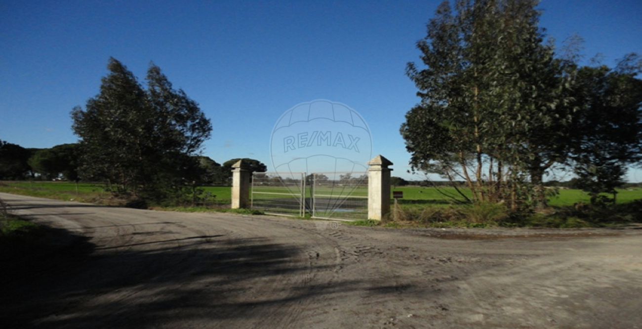 Terreno  para venda