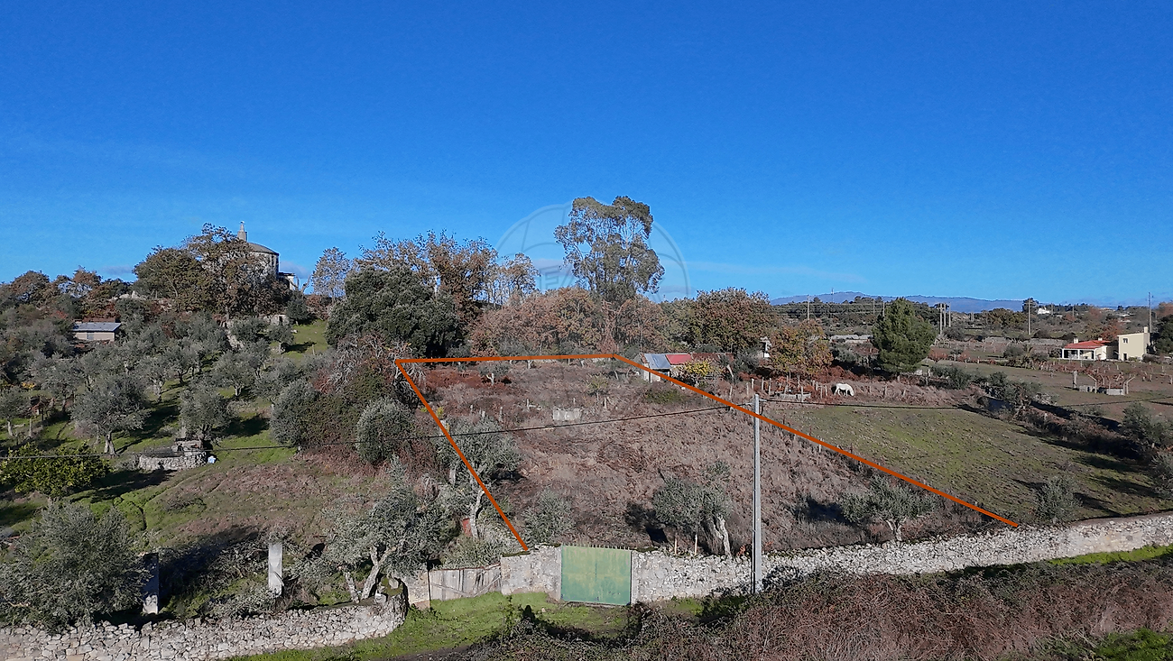 Terreno à venda em Castelo Branco