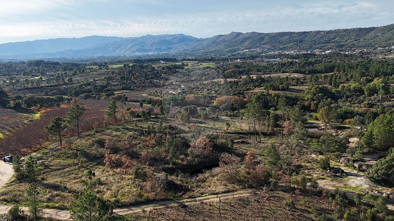 Terreno - Vale de Prazeres e Mata da Rainha, Fundão, Castelo Branco