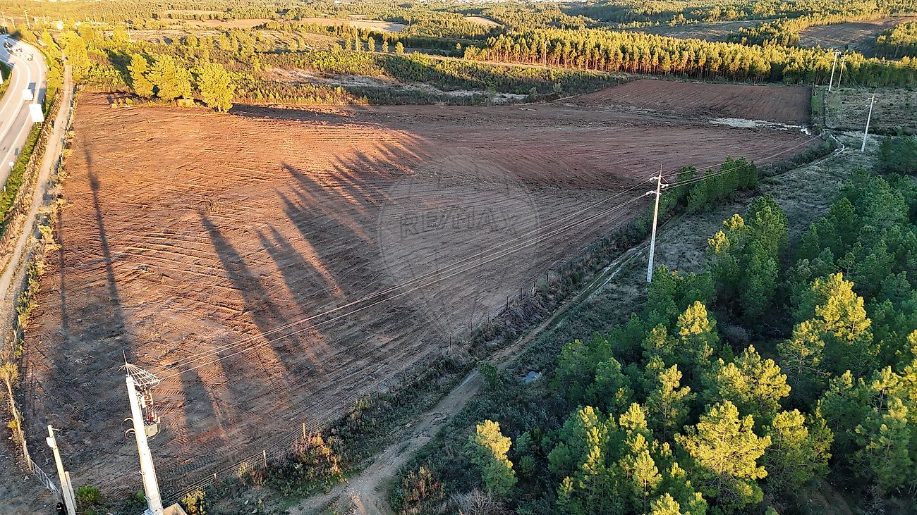 Terreno - Sarnadas de Rodão, Vila Velha de Ródão, Castelo Branco