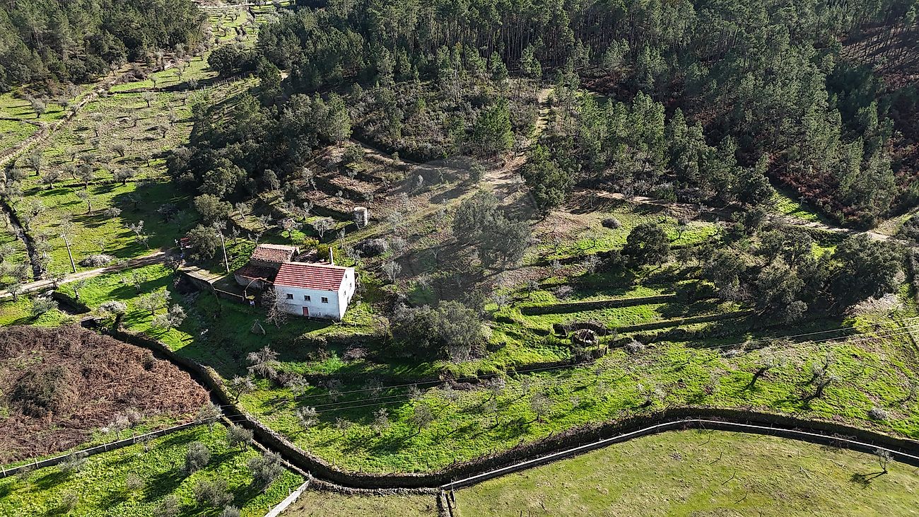 Moradia - Cumeada e Marmeleiro, Sertã, Castelo Branco