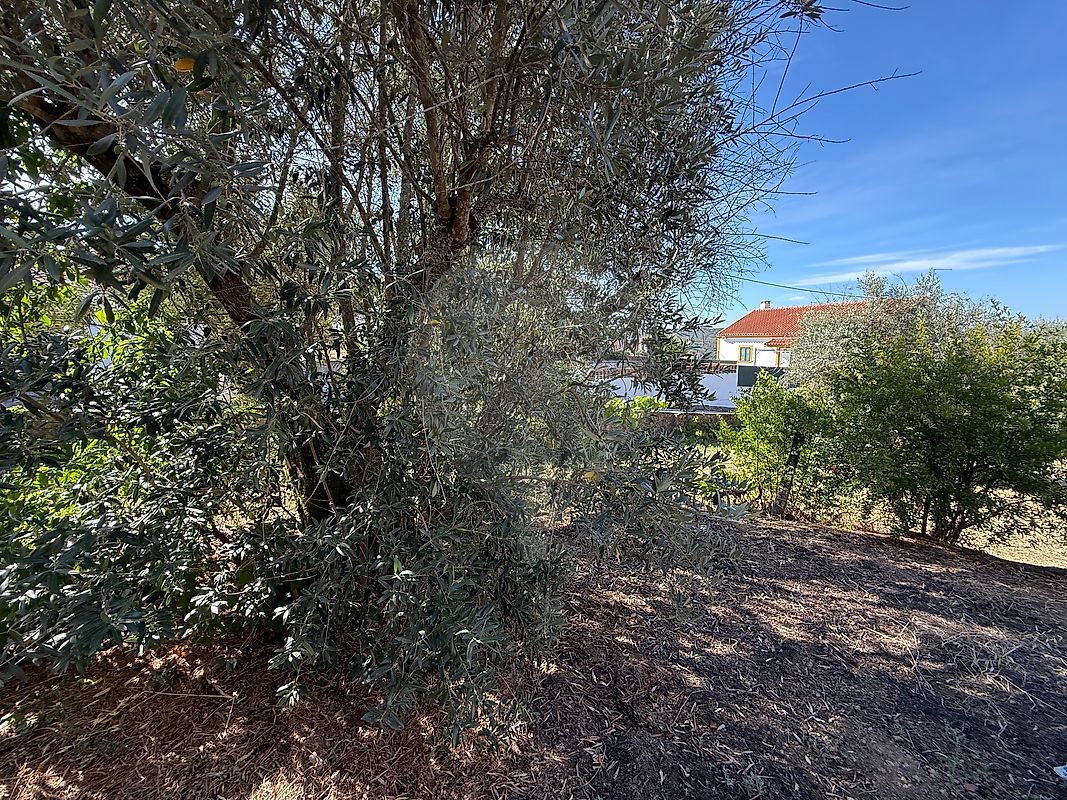 Moradia T4 à venda em Belver, Gavião — foto 30