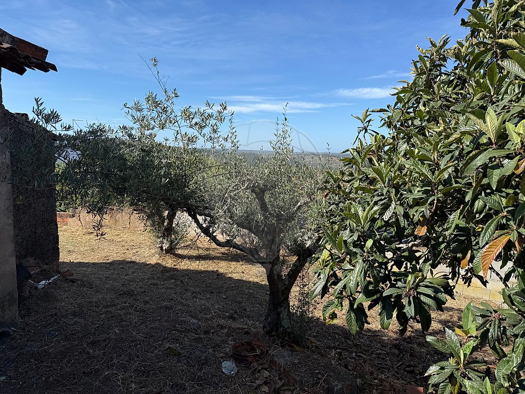 Moradia T4 à venda em Belver, Gavião — foto 23