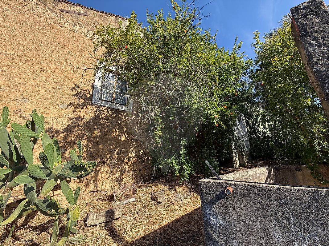 Moradia T4 à venda em Belver, Gavião — foto 32