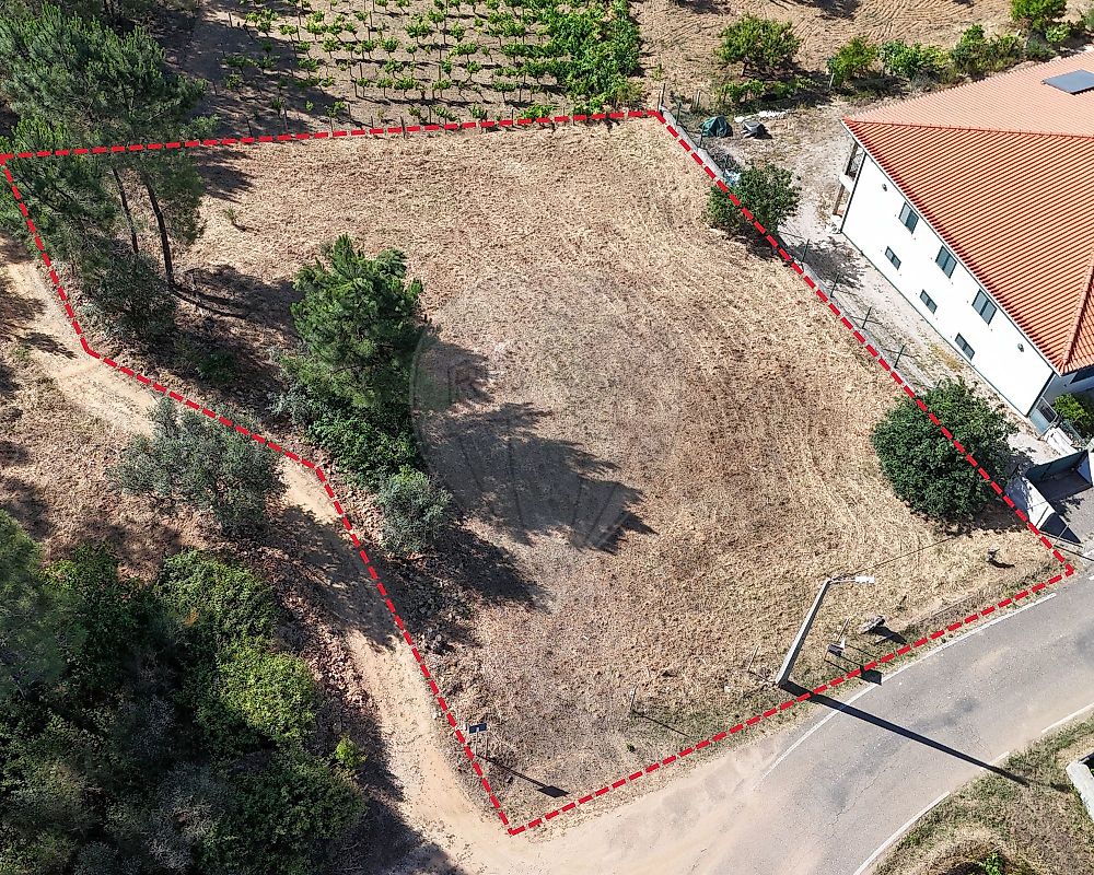 Terreno - Belver, Gavião, Portalegre