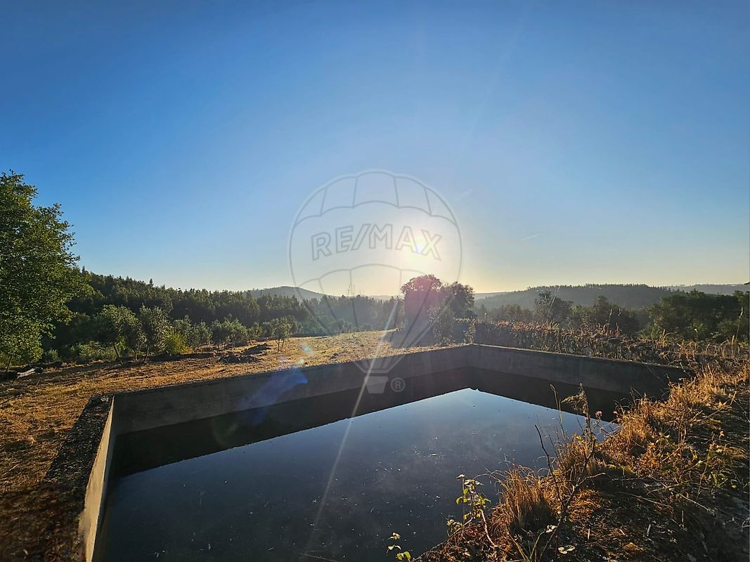 Terreno - Mação, Penhascoso e Aboboreira, Mação, Santarém