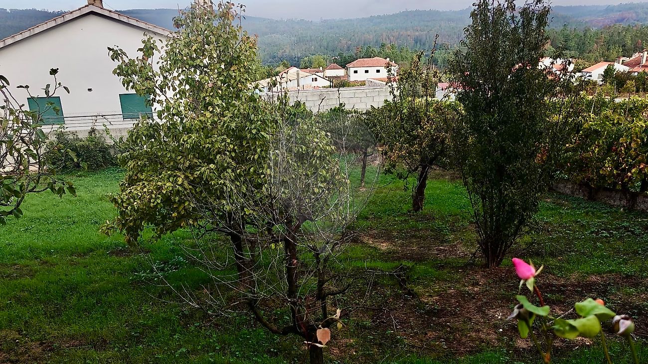 Terreno - Secarias, Arganil, Coimbra