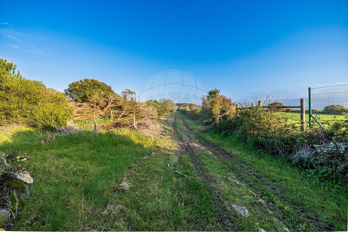 Moradia T4 à venda em São João das Lampas e Terrugem, Sintra — foto 38