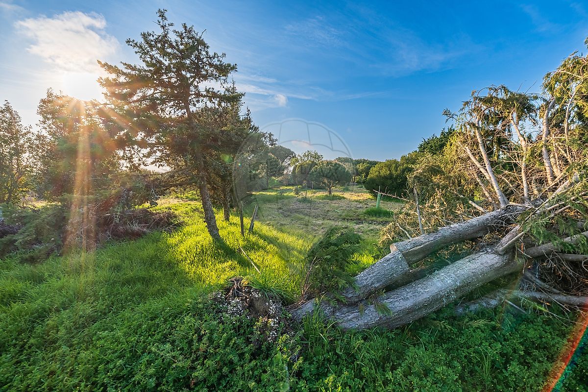 Moradia T4 à venda em São João das Lampas e Terrugem, Sintra — foto 40