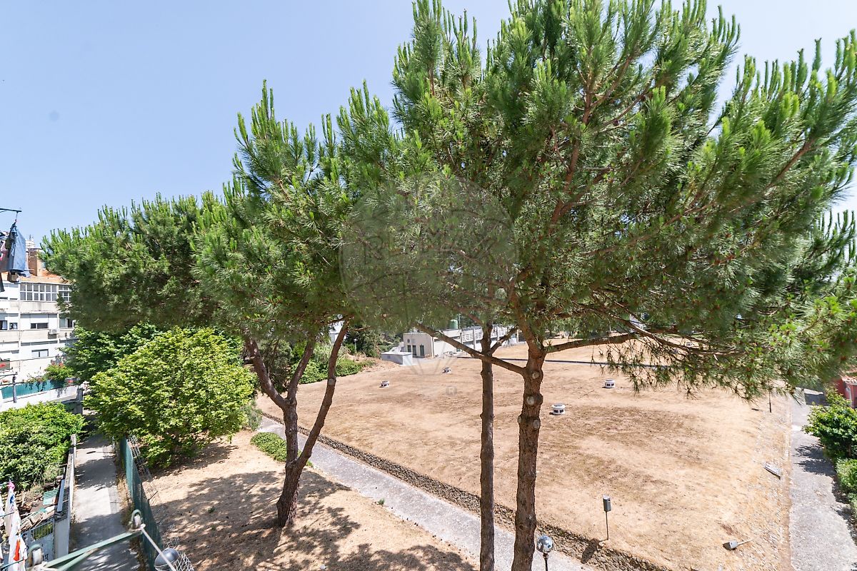 listing 127071004-8 picture-0