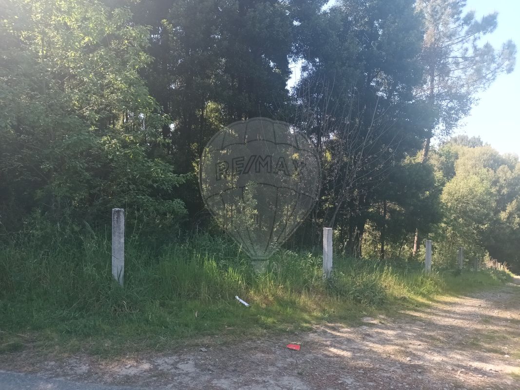Terreno para venda
