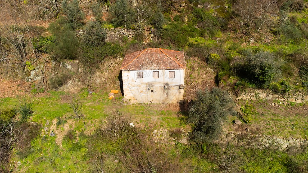 Quinta - Oliveira, Cinfães, Viseu