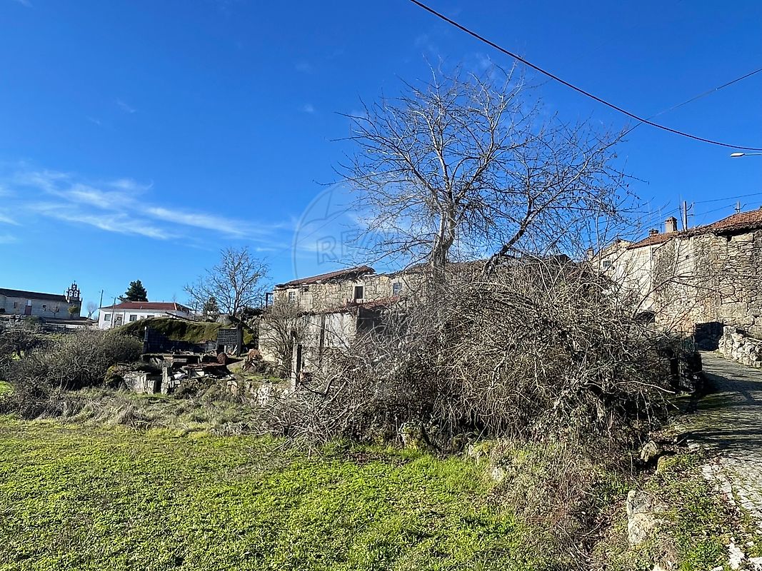 Moradia T3 à venda em Pêra Velha, Aldeia de Nacomba e Ariz, Moimenta da Beira — foto 11