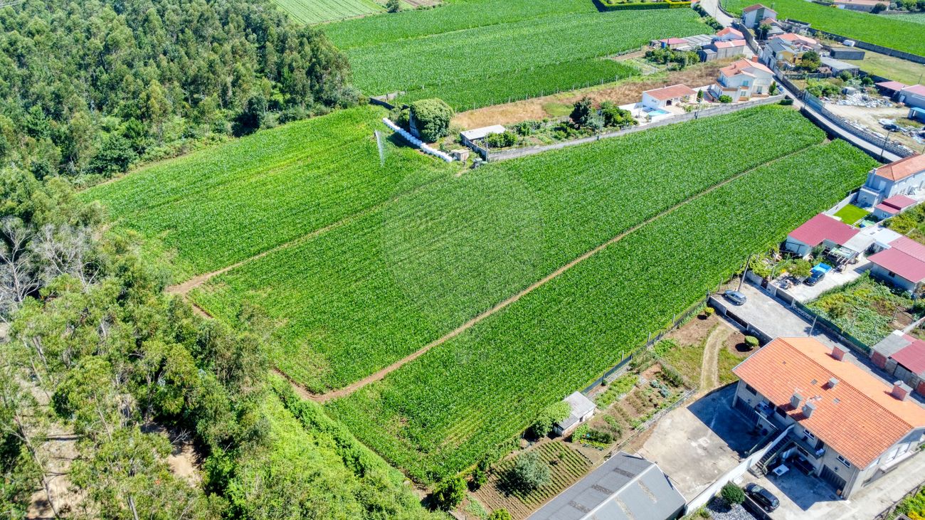Terreno para venda