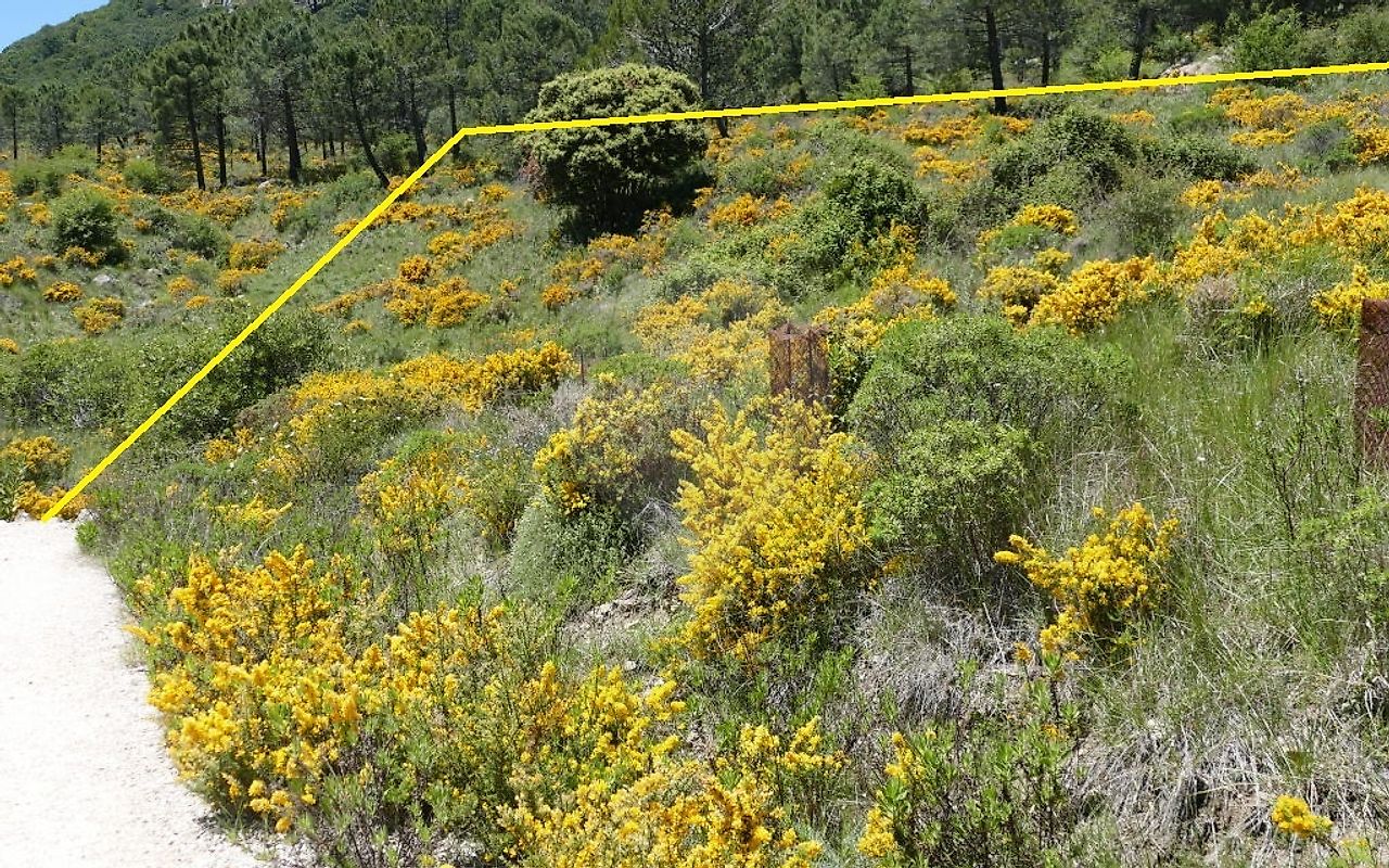 Terreno para venda
