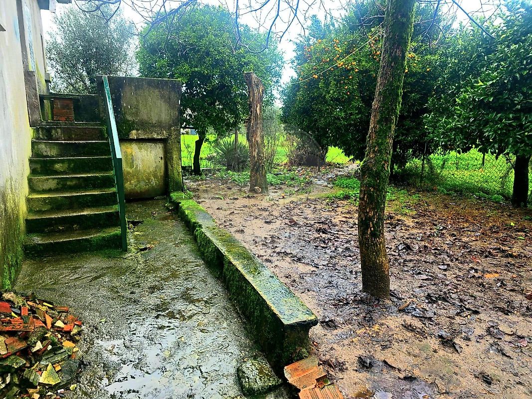 Moradia T3 à venda em Alcafache, Mangualde — foto 15