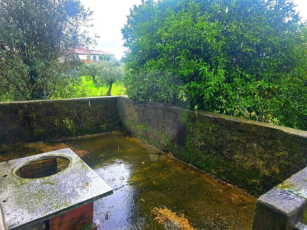 Moradia T3 à venda em Alcafache, Mangualde — foto 17