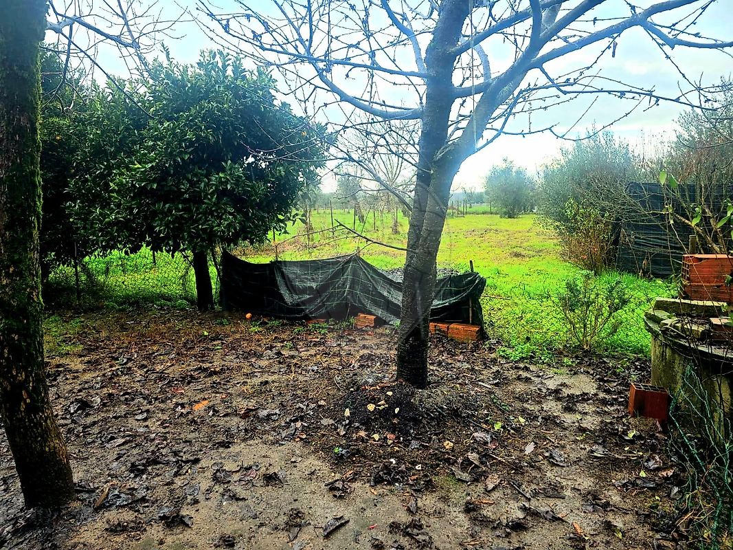 Moradia T3 à venda em Alcafache, Mangualde — foto 16