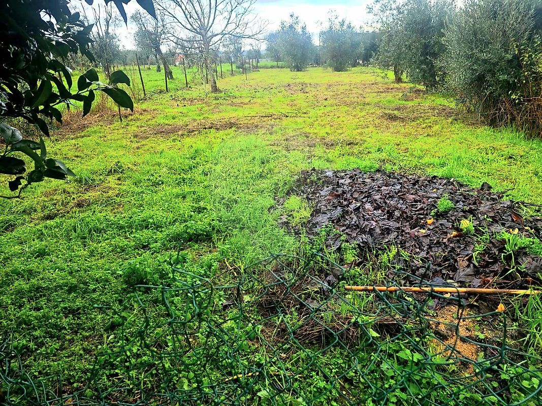 Moradia T3 à venda em Alcafache, Mangualde — foto 14