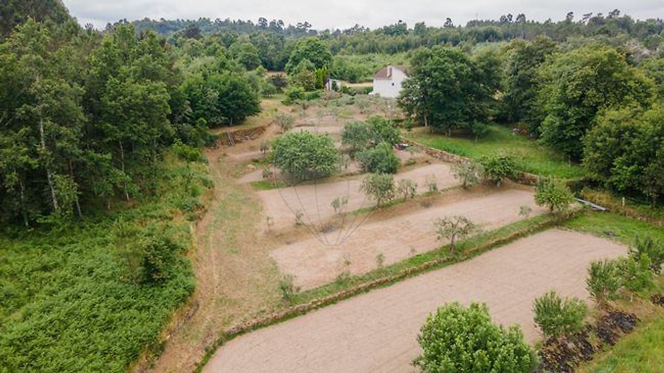 Moradia T3 à venda em Mangualde, Mesquitela e Cunha Alta, Mangualde — foto 33
