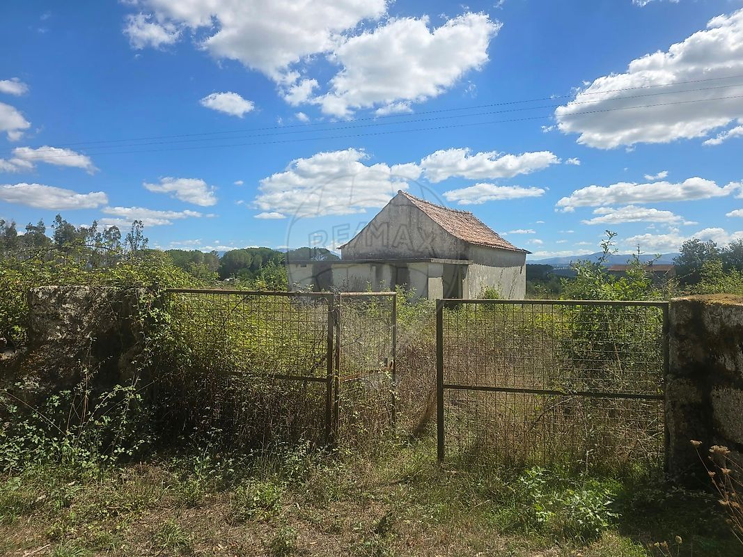 Terreno - Currelos, Papízios e Sobral, Carregal do Sal, Viseu
