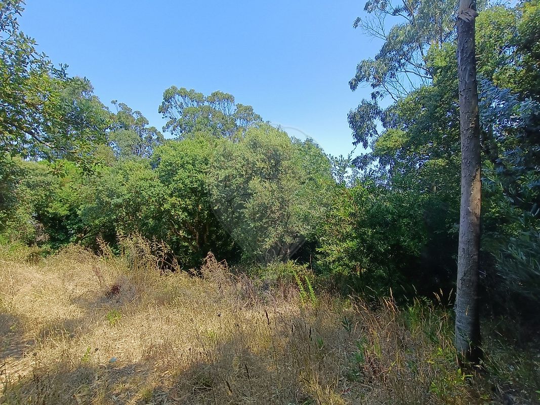 Terreno - Colares, Sintra, Lisboa