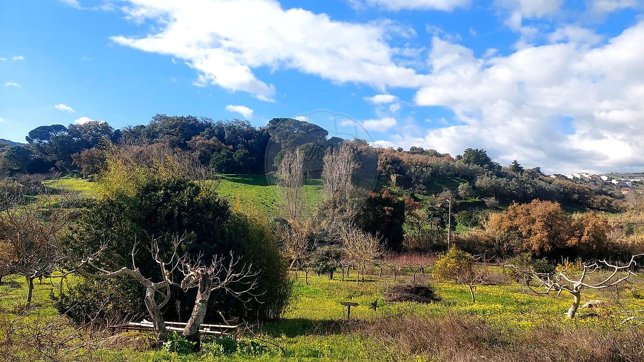 Terreno à venda em Vila Franca de Xira